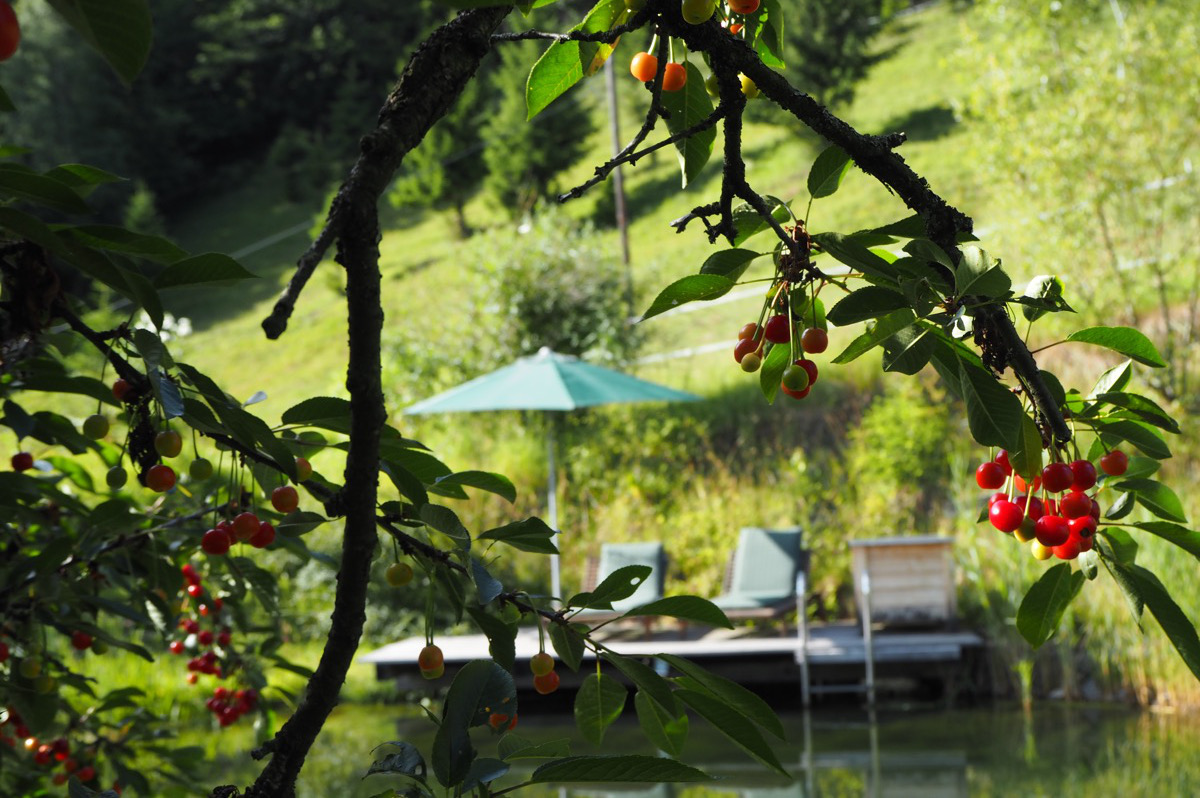 BienenAlm - Luxus Almhütte in Alleinlage - Relaxen - Ruhe genießen - am eigenen Teich