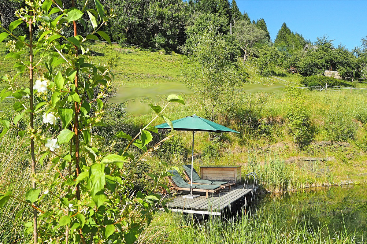 BienenAlm - Climbing, hiking, mountainbiking and then refreshing bath in your private lake