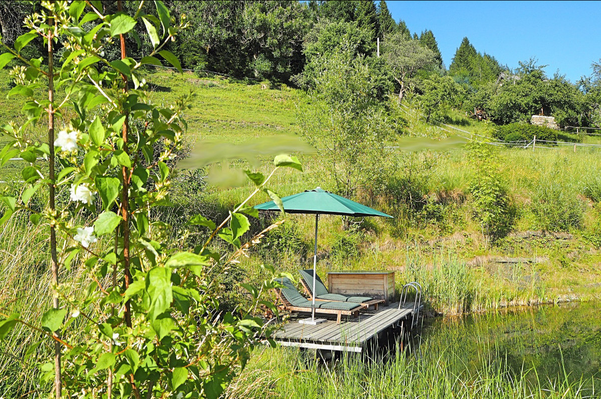 BienenAlm - Luxus Almhütte - Badeurlaub am Berg - Schwimmteich in Alleinlage und exklusiv für Dich